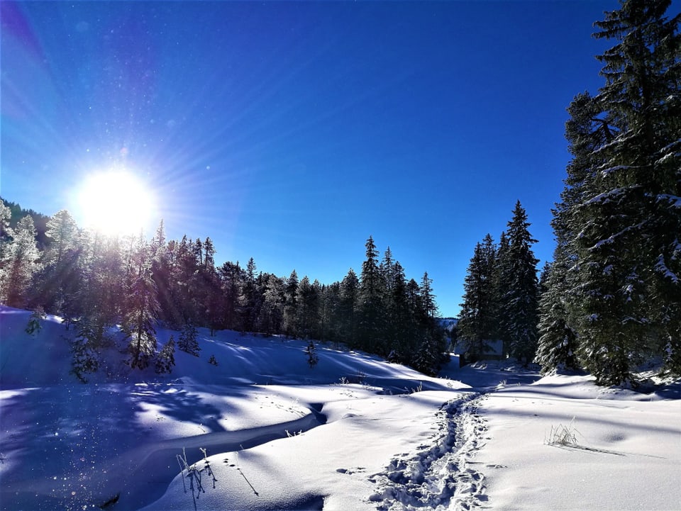 Winterlandschaft, strahlender Sonnenschein und eine wunderbare Winterlandschaft.
