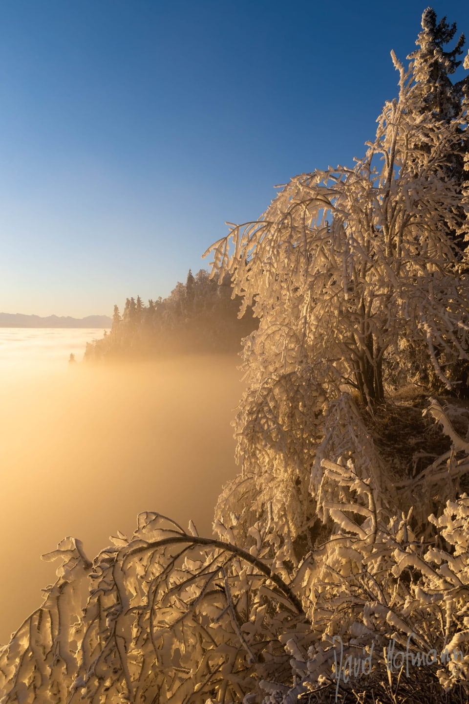 Nebel und Raueis