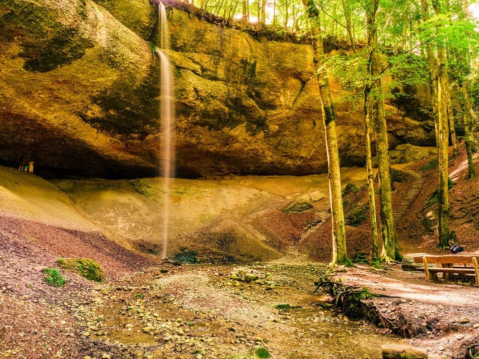 Wissengubel Wissengubel