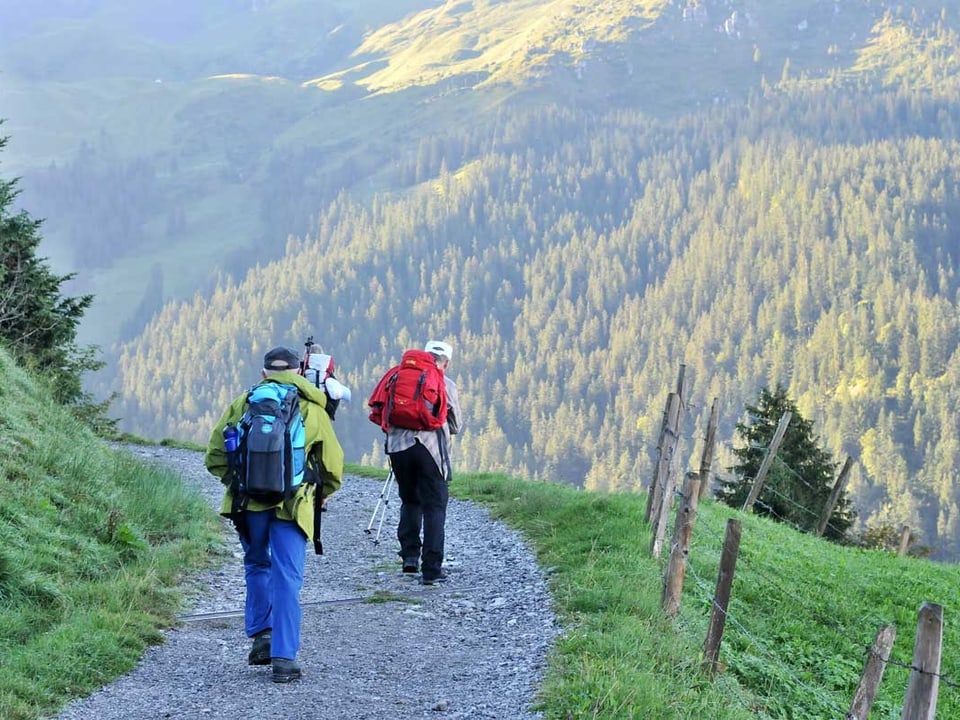 Wanderer unterwegs auf dem Wanderweg, im Hintergrund die Berglandschaft.