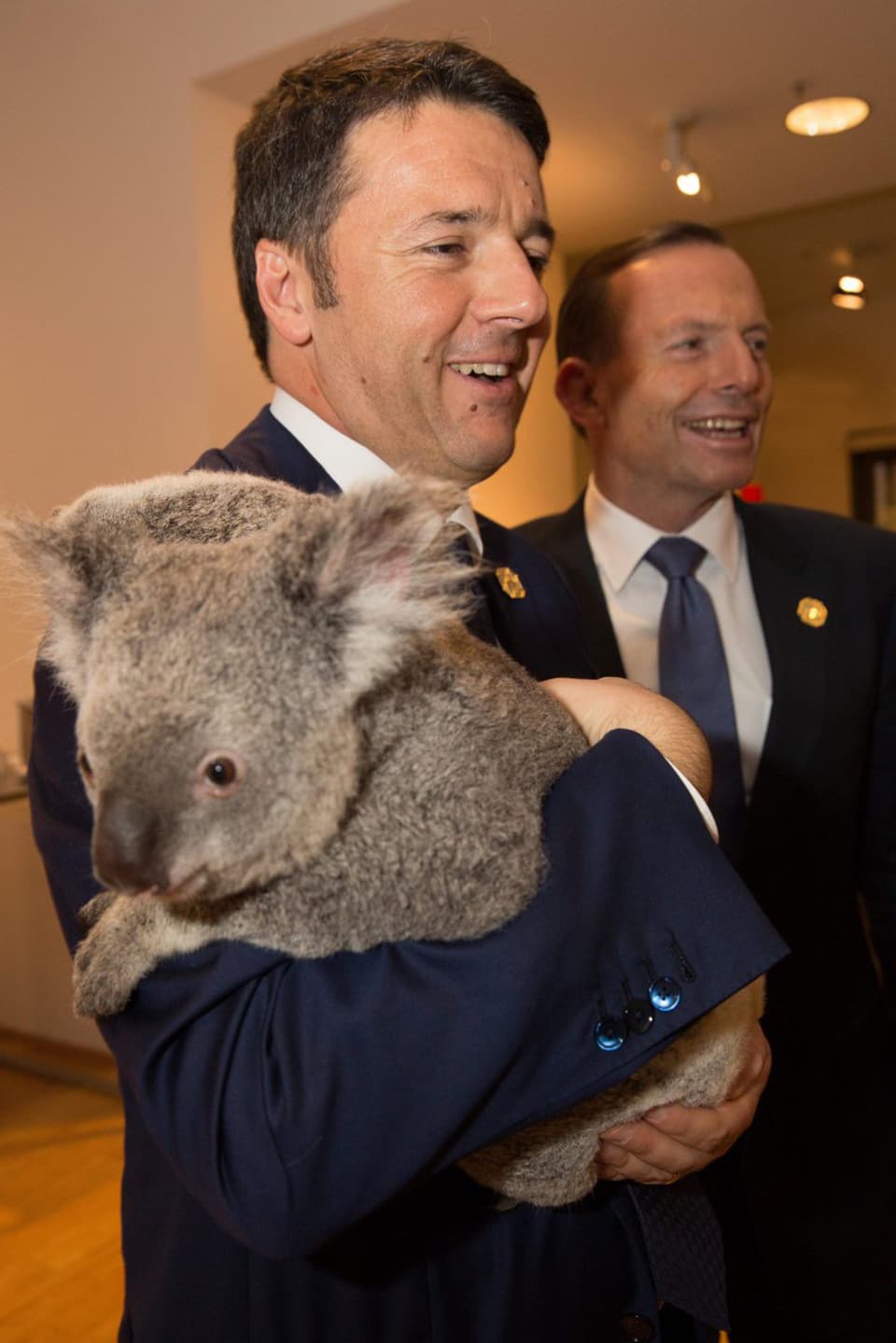 Matteo Renzi mit Koala