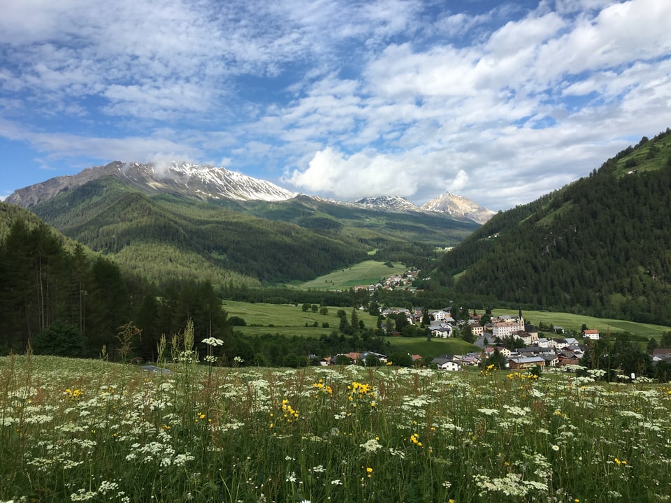 Blumenwiese, Dorf und Berge im Hintergrund.