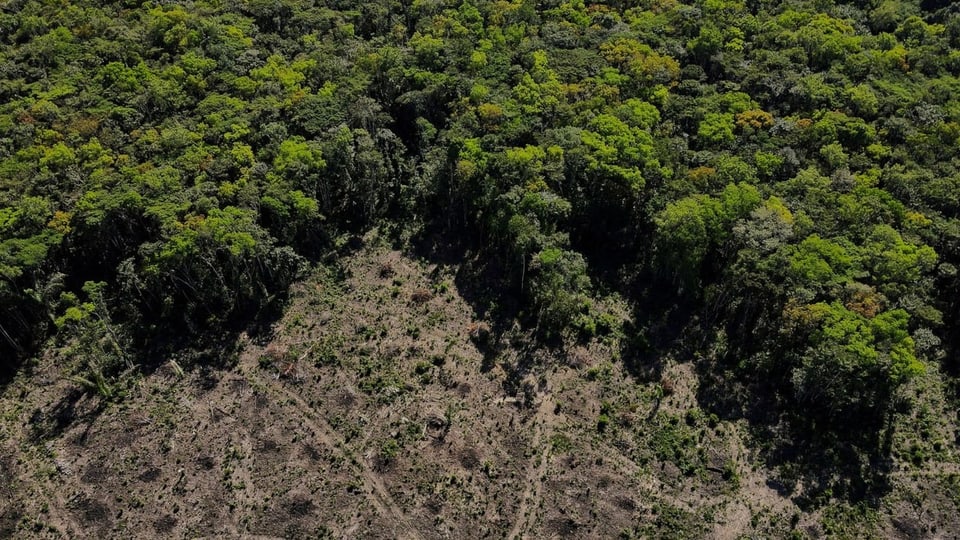 Luftaufnahme eines Rodungsgebietes des Amazonas.