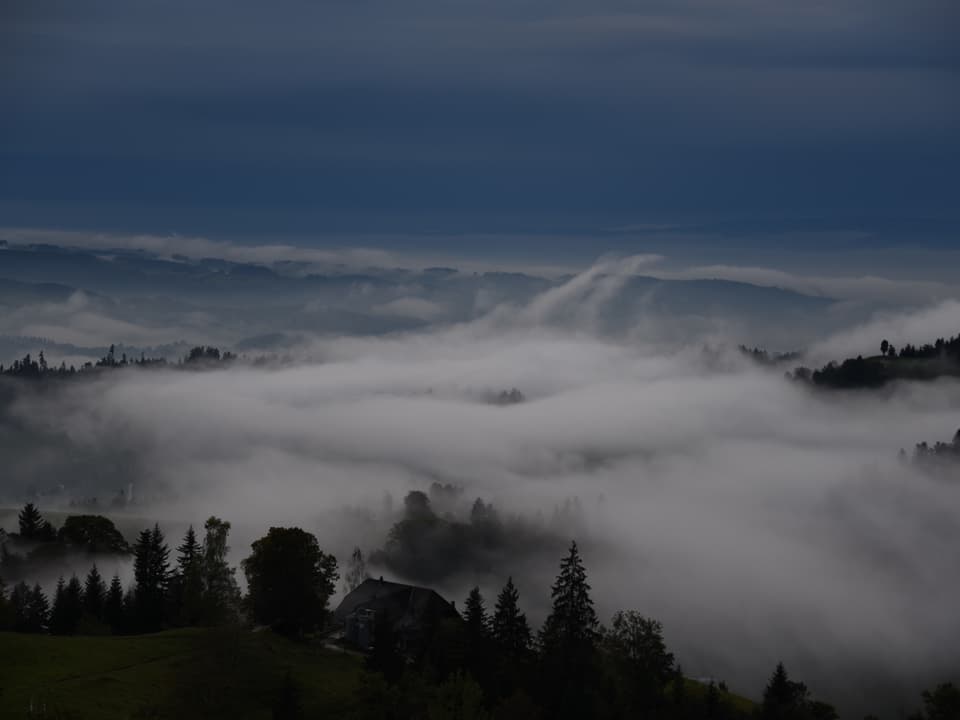 Abendstimmung: Nebelschwaden über dem Tal, darüber graue Wolken.