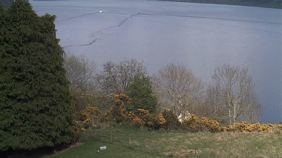 Die Webcam von Loch Ness. 