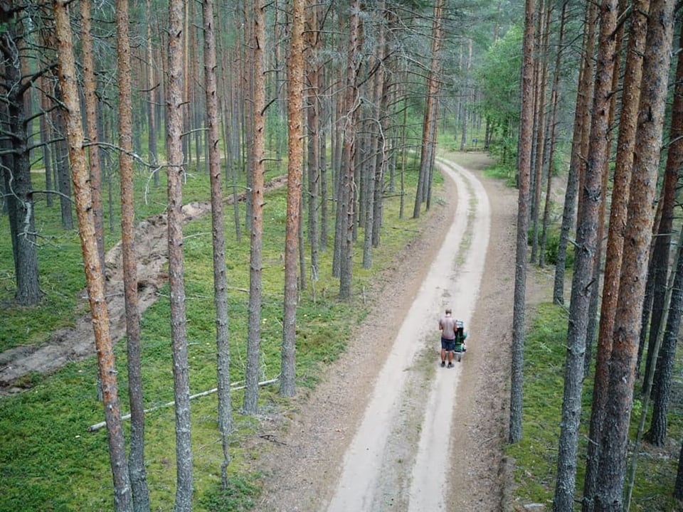 Ein Mann auf einem Waldweg mit Kinderwagen