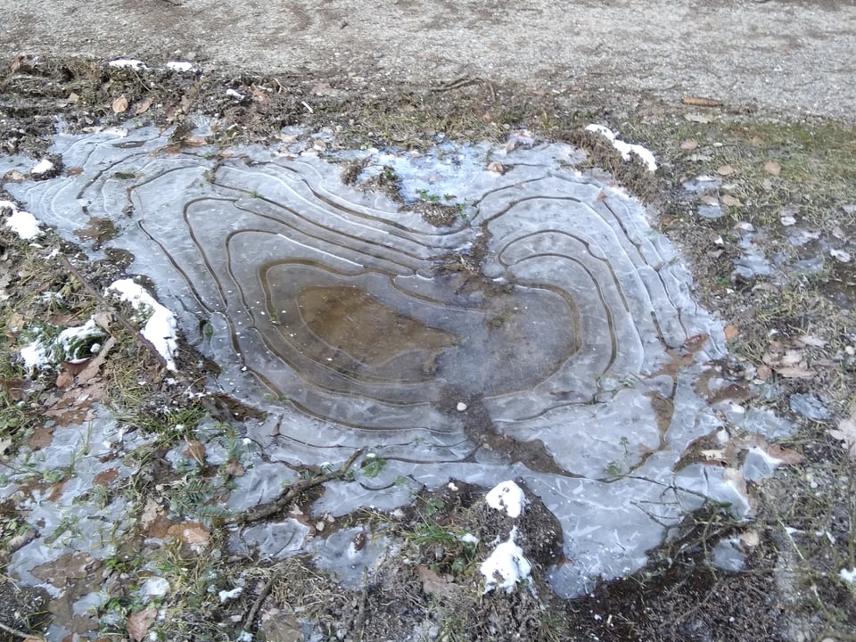 Eine gefrorene Pfütze auf der Seite eines Waldweges. Das Eis zeigt sonderliche Formen auf.