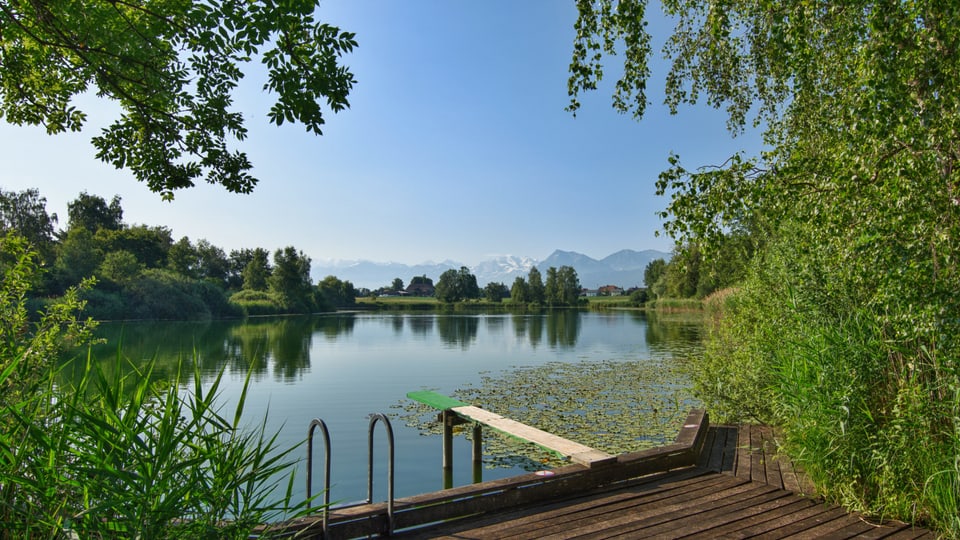 Blick auf den ruhigen See und die Alpen im Hintergrund. 