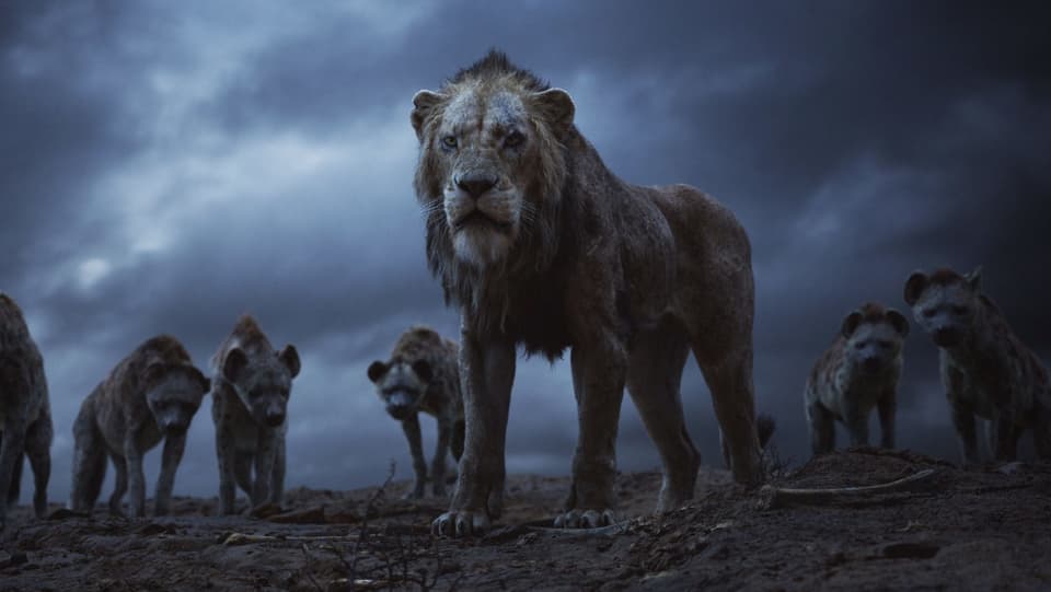 Ein Löwe steht vor einer Horde Hyänen.