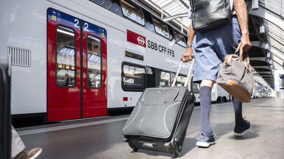 Ein Mann mit Koffer läuft auf dem Perron, daneben eine S-Bahn. 