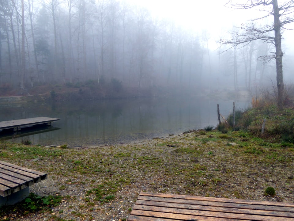 Ein Weiher im Wald. Die Umgebung ist in dichten Nebel gehüllt. Das Bild könnte aus einem nordischen Märchen entsprungen sein.