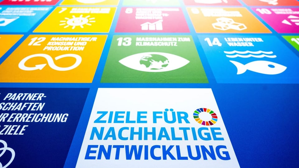 Offener Brief zu UNO-Zielen - Kritik am Bund: UNO-Nachha...