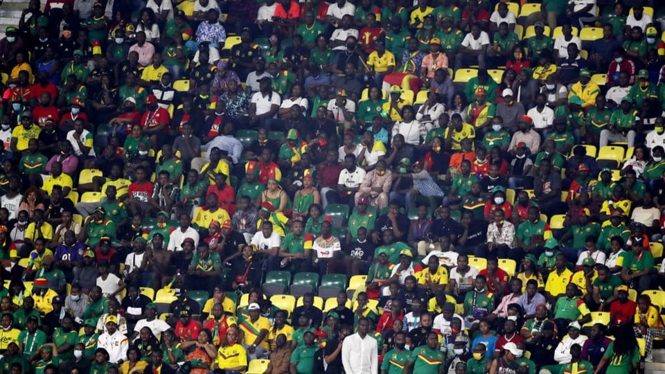 Fans des Fussballvereins Kamerun auf der Tribüne.
