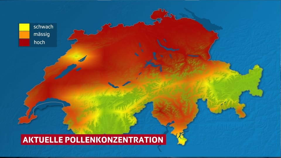 Eine eingefärbte Karte der Schweiz zeigt die starke Pollenbelastung.
