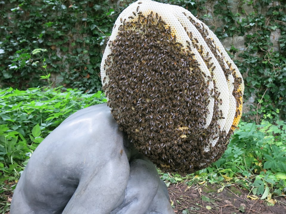 Der Kopf der Skulptur von Pierre Huyghe mit lebenden Bienen