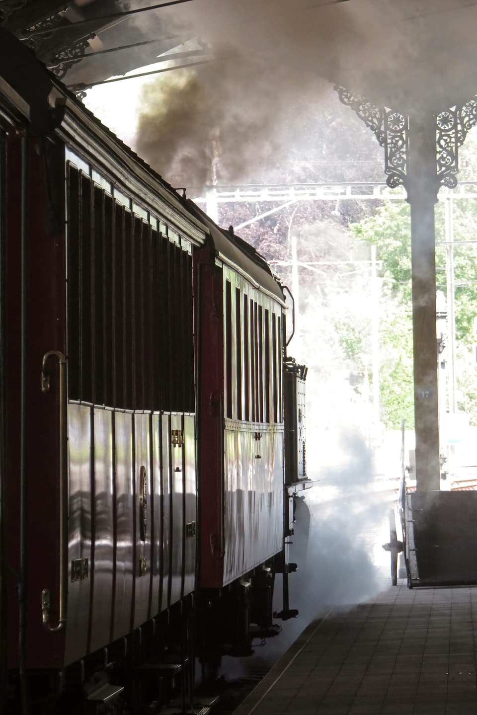 Blick von der Seite auf einen Zug, Rauchschwaden in der Luft.