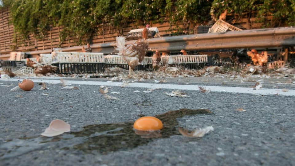 Kaputtes Ei auf Autobahn.