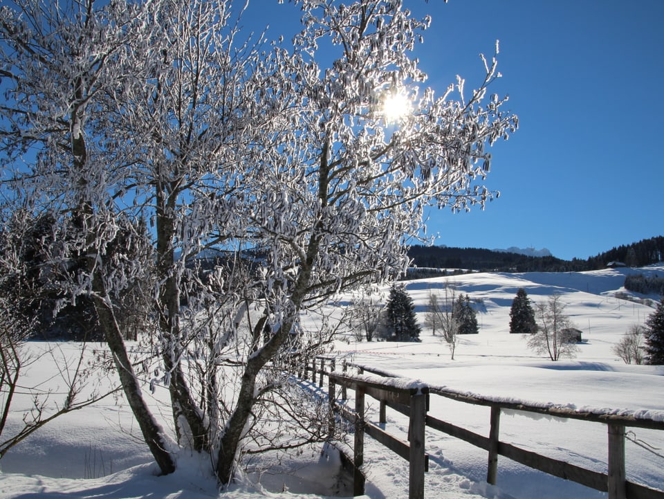 Verschneite Winterlandschaft rund um Gonten bei wolkenlosem Himmel.