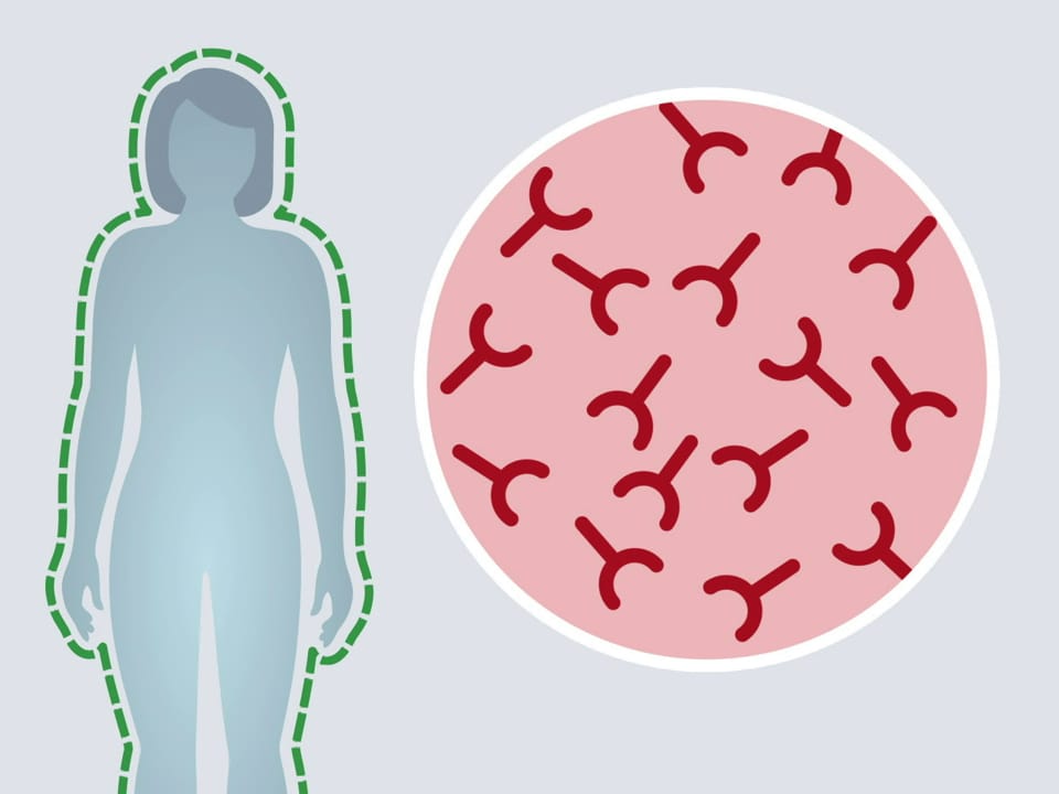 Immunsystem-Grafik