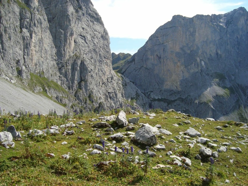 Bild mit den Bergen des Rätikons im Prättigau Kanton Graubünden.