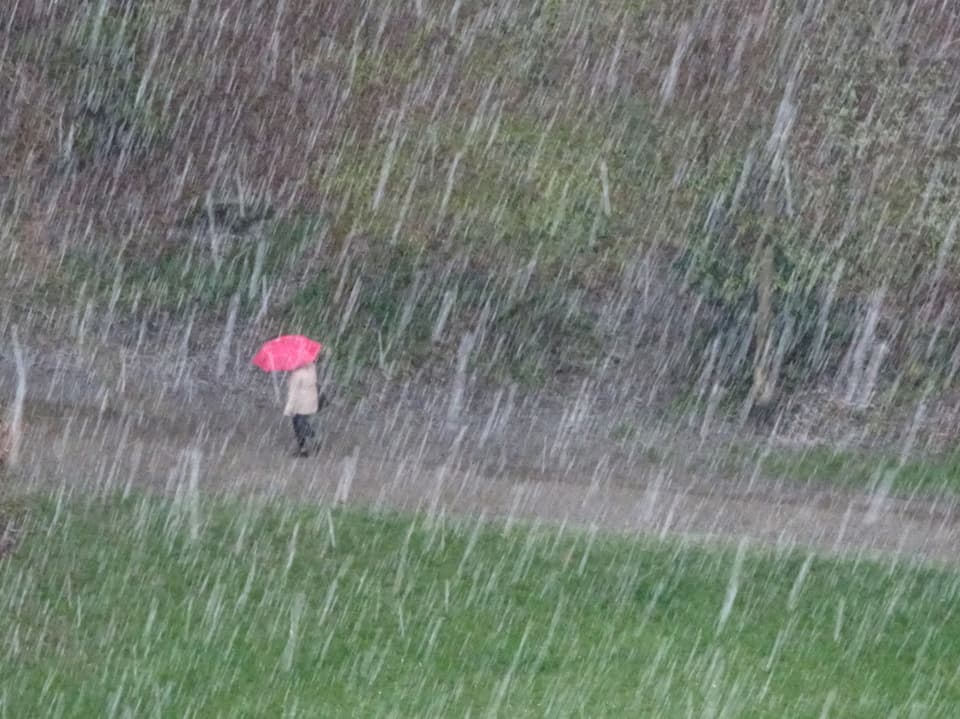 Person mit rotem Schirm auf Weg, Hagel-Striche auf dem Bild