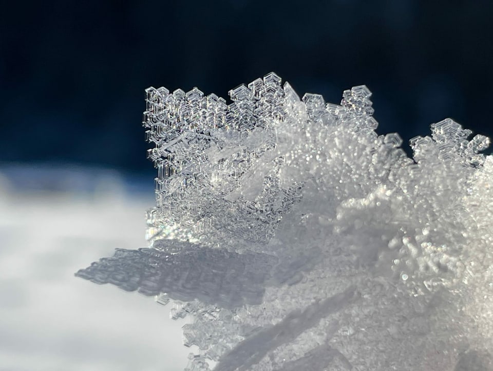 «An einem sonnigen Tag vor Weihnachten bildeten sich diese Eiskristalle an den Wanderwegbezeichnungsstäben.»