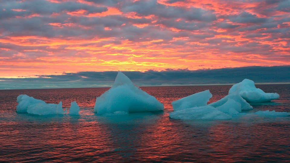 Im arktischen Ozean treiben Eisschollen. 