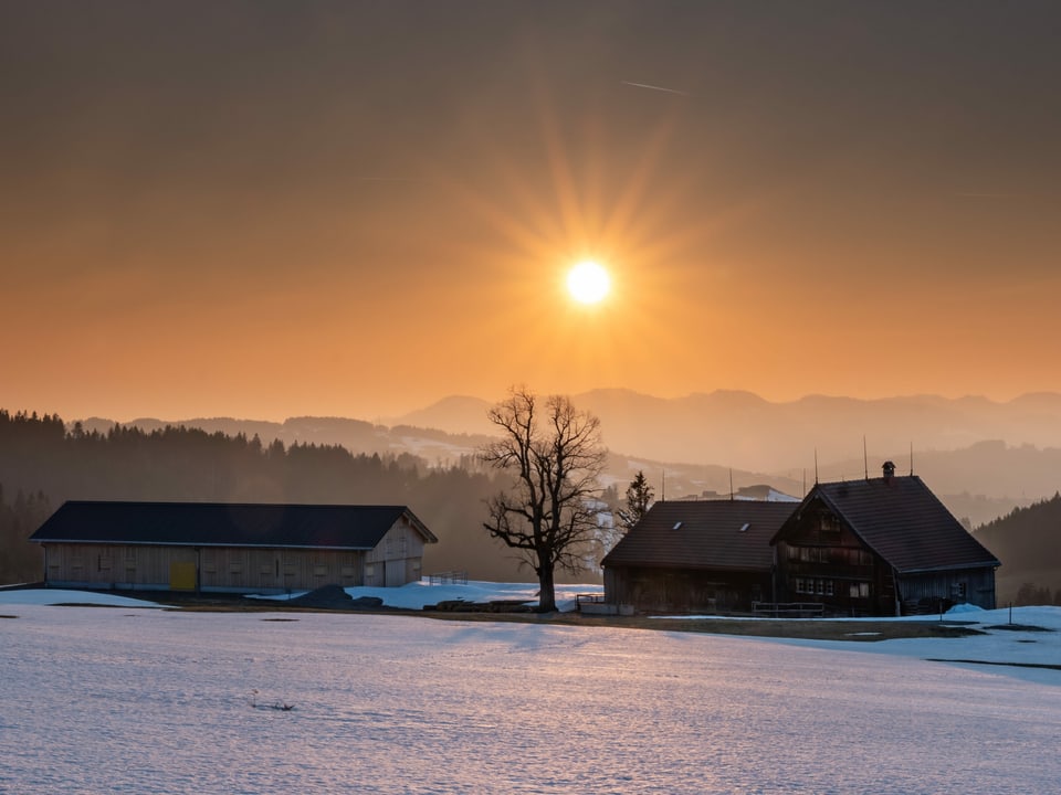Sonnenuntergang bei gelbem Himmel mit Schneeresten auf den Wiesen