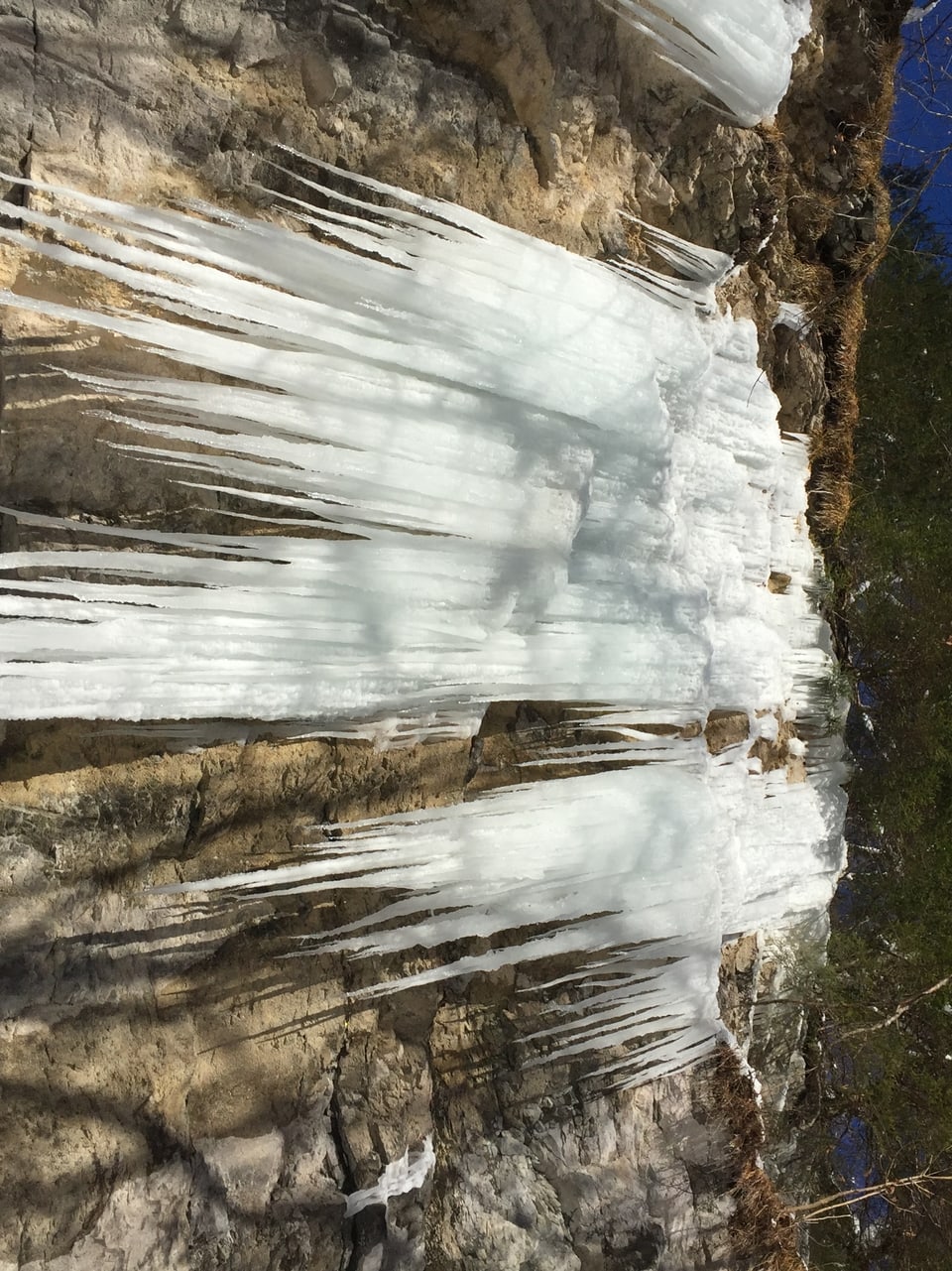 Eiszapfen hängen von einer Felswand hinunter.