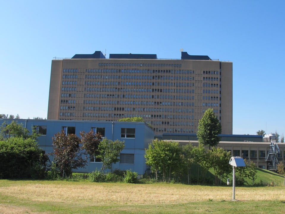 Spital