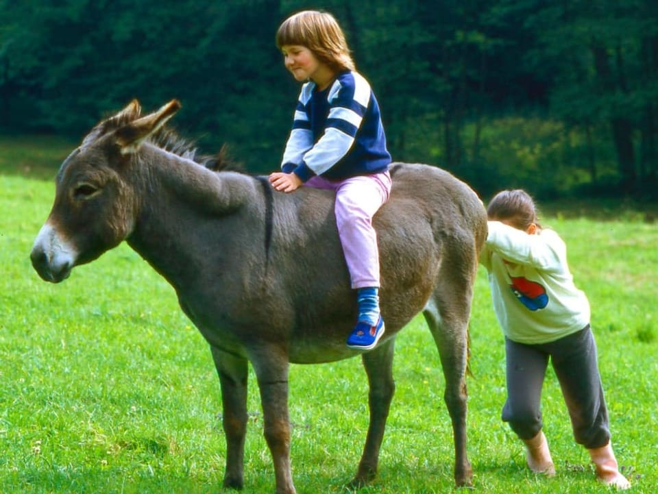 Ein Kind sitzt auf einem Esel. Ein anderes Kind versucht in zu stossen, ohne Erfolg.
