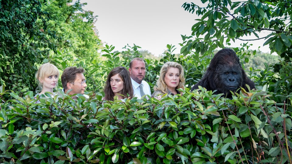 Mehrere Menschen und ein Gorilla schauen aus dem Gebüsch hervor.