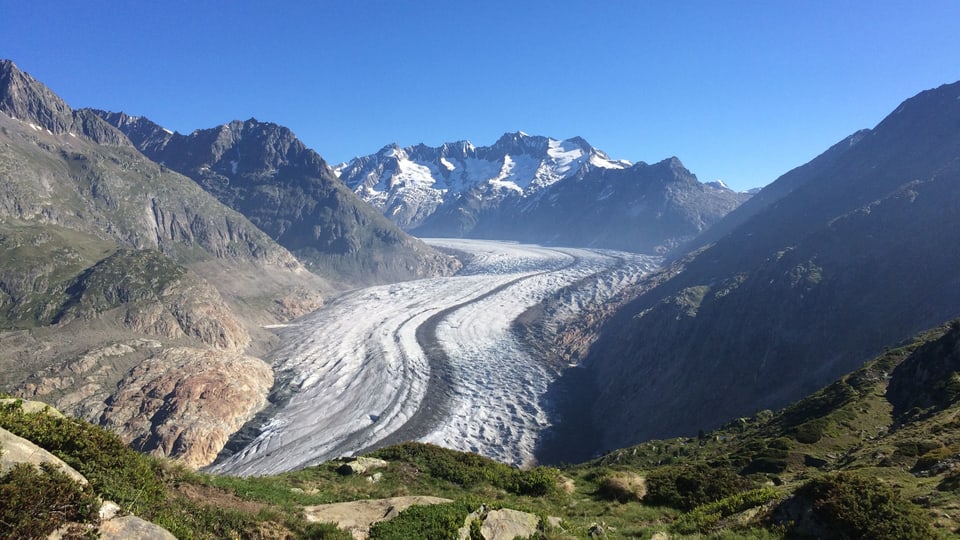 Blick auf den Aletschgletscher im Juni