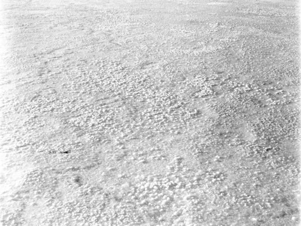 Schwarzweiss-Fotografie von Ester Vonplon, die eine Schneedecke zeigt.
