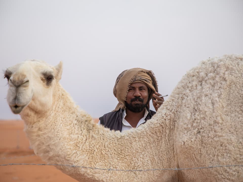 Sudaner mit seinen Kamelen an einer Kamel-Show in Saudi-Arabien.