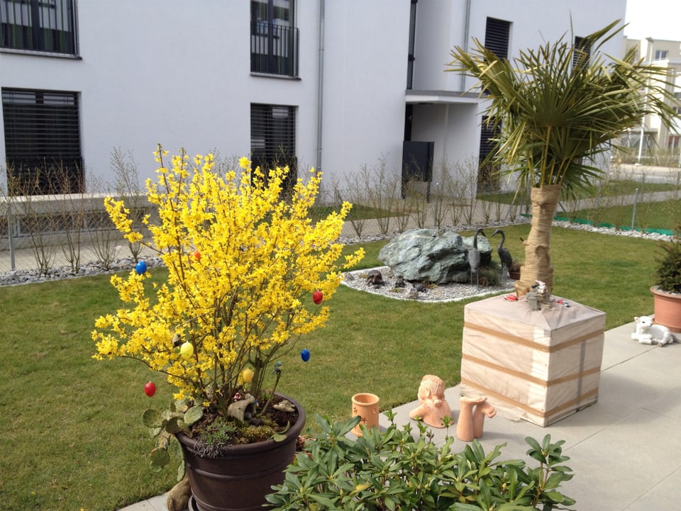 Ein mit bunten Ostereiern geschmückter Forsythienbusch und eine kleine Palme auf einer Terrasse.