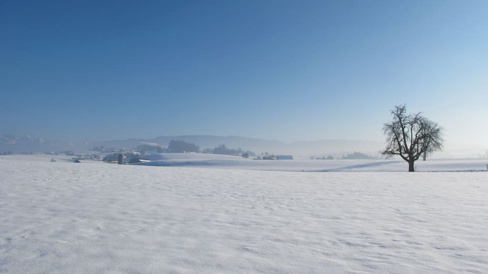 Eine Schneelandschaft mit Baum, Bauernhof und Alpen.