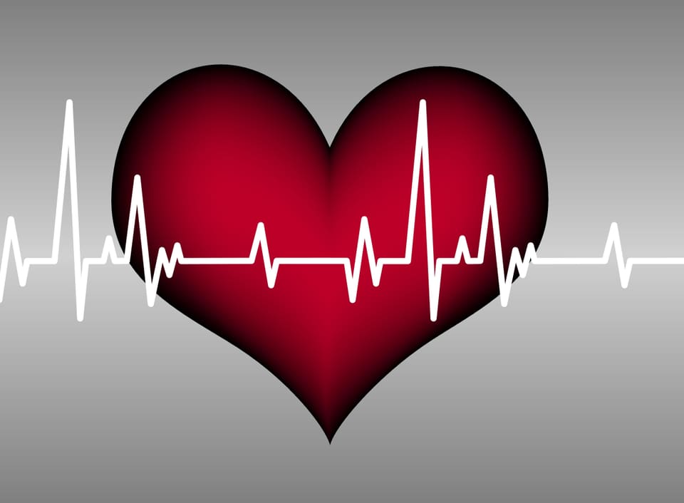 Illustration: Rotes Herz und Kardiogramm 