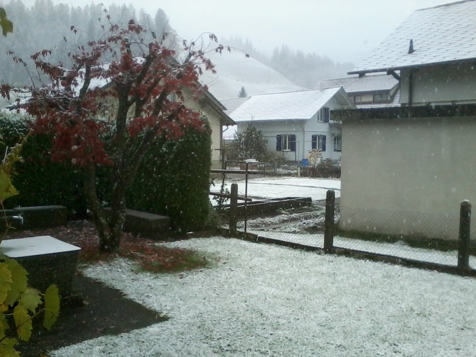 Ein schneebedeckter Rasenplatz vor einem Haus.