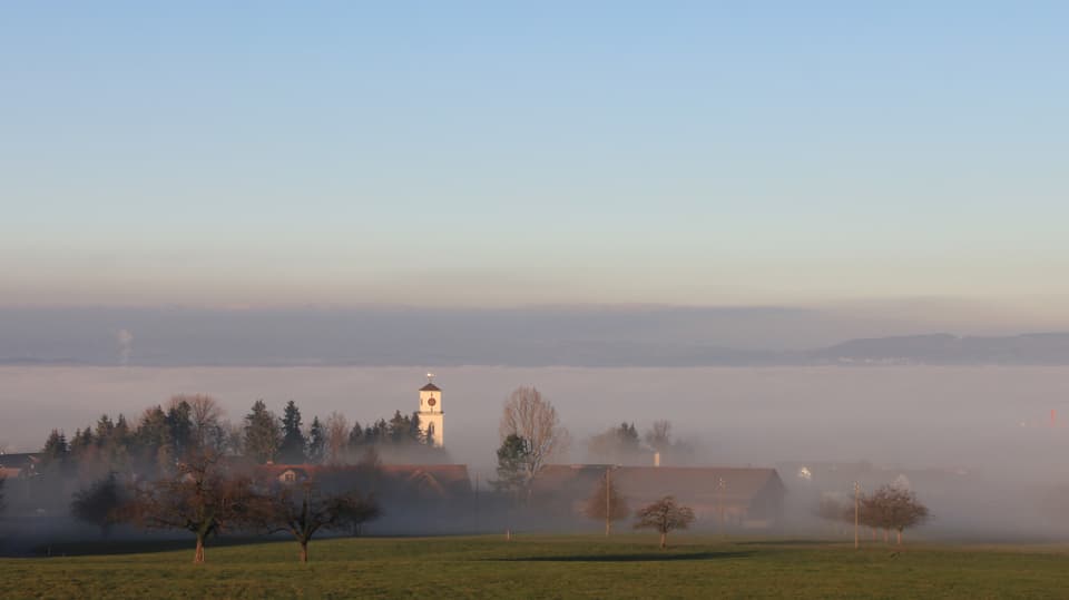 In Güttingen war es zwar auch sonniger als sonst im Dezember, Nebel verhinderte aber einen neuen Rekord.