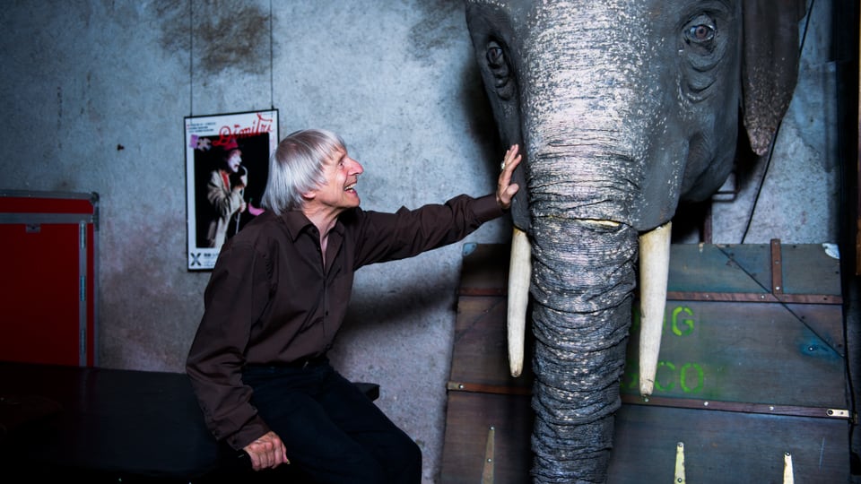 Ein Mann steht vor dem Kopf eines Elefanten und lacht ihn an.