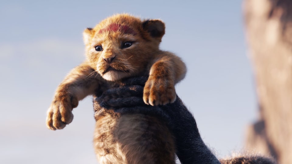 Kinostart: «The Lion King»