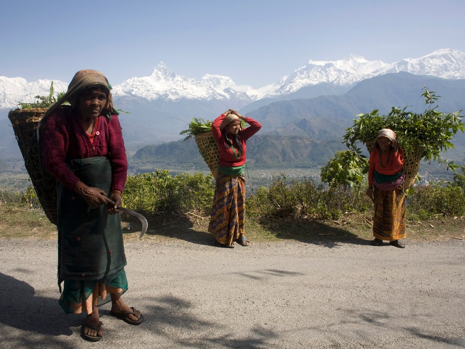 Drei Frauen tragen landwirtschaftliche Produkte auf dem Rücken vor dem Himalaya-Panorama