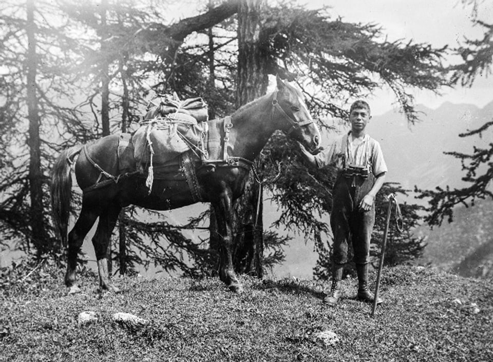 Der Sohn im Nationalpark im Wald, neben ihm ein Pferd mit Lasten.