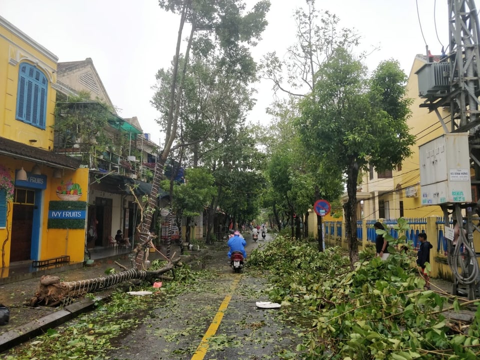 Ein umgestürzter Baum und Äste liegen auf der Strasse in Hoi An nach dem Taifun «Noru».