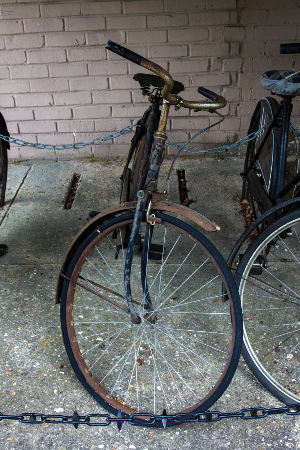 Ein altes, verrostetes Fahrrad