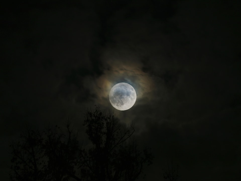 Blick auf den Mond von Grüt aus (Gossau, ZH).