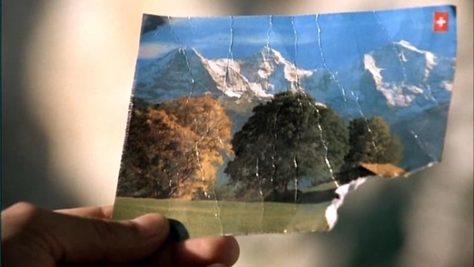 Ansichtskarte mit Bäumen und Schweizer Bergen.