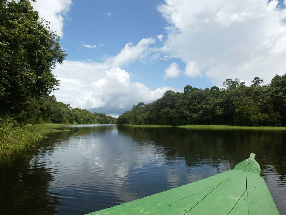 Ein Blick aus einem Boot auf den Amazonas.