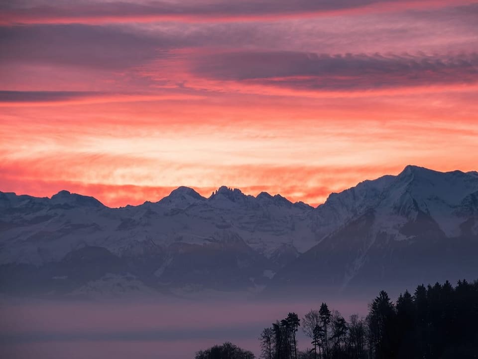 Wunderschöne Morgenstimmung über den Berner Alpen 